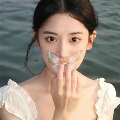 熊的传说